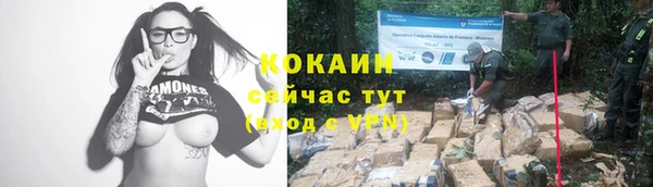 стафф Волоколамск